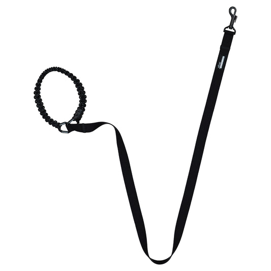 Dog Leash Wide