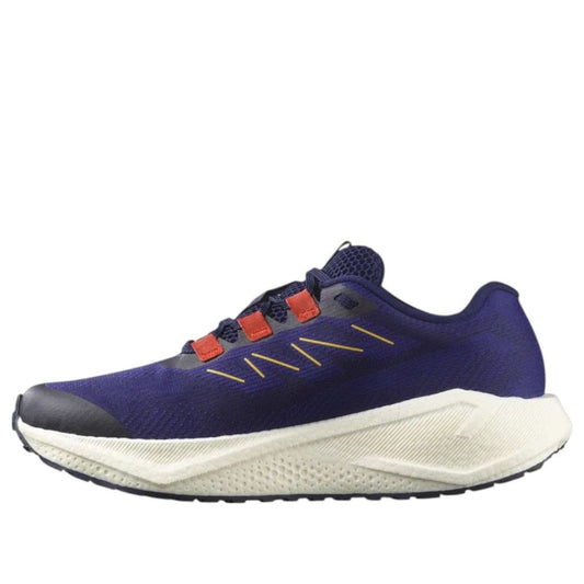 SALOMON Aero Blaze 3 Gravel Gore-Tex 'Astral Aura' 479154